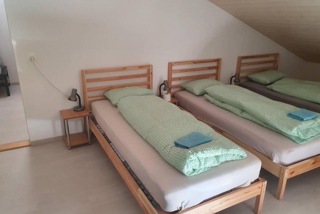 Classy Apartment Interlaken Ngoại thất bức ảnh